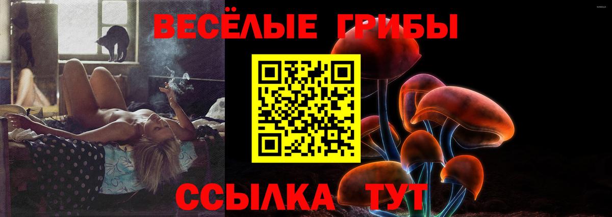 Галлюциногенные грибы ЛСД Кимры