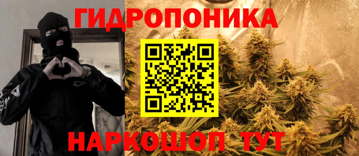 Каннабис планчик  Вход с VPN  Кимры  Бошки марихуана семена  МАРИХУАНА Ganja 